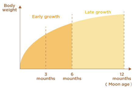 growth_stage
